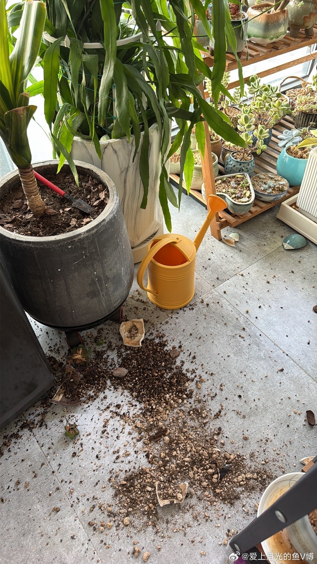 地震了，几秒时间感觉楼要散了  ​