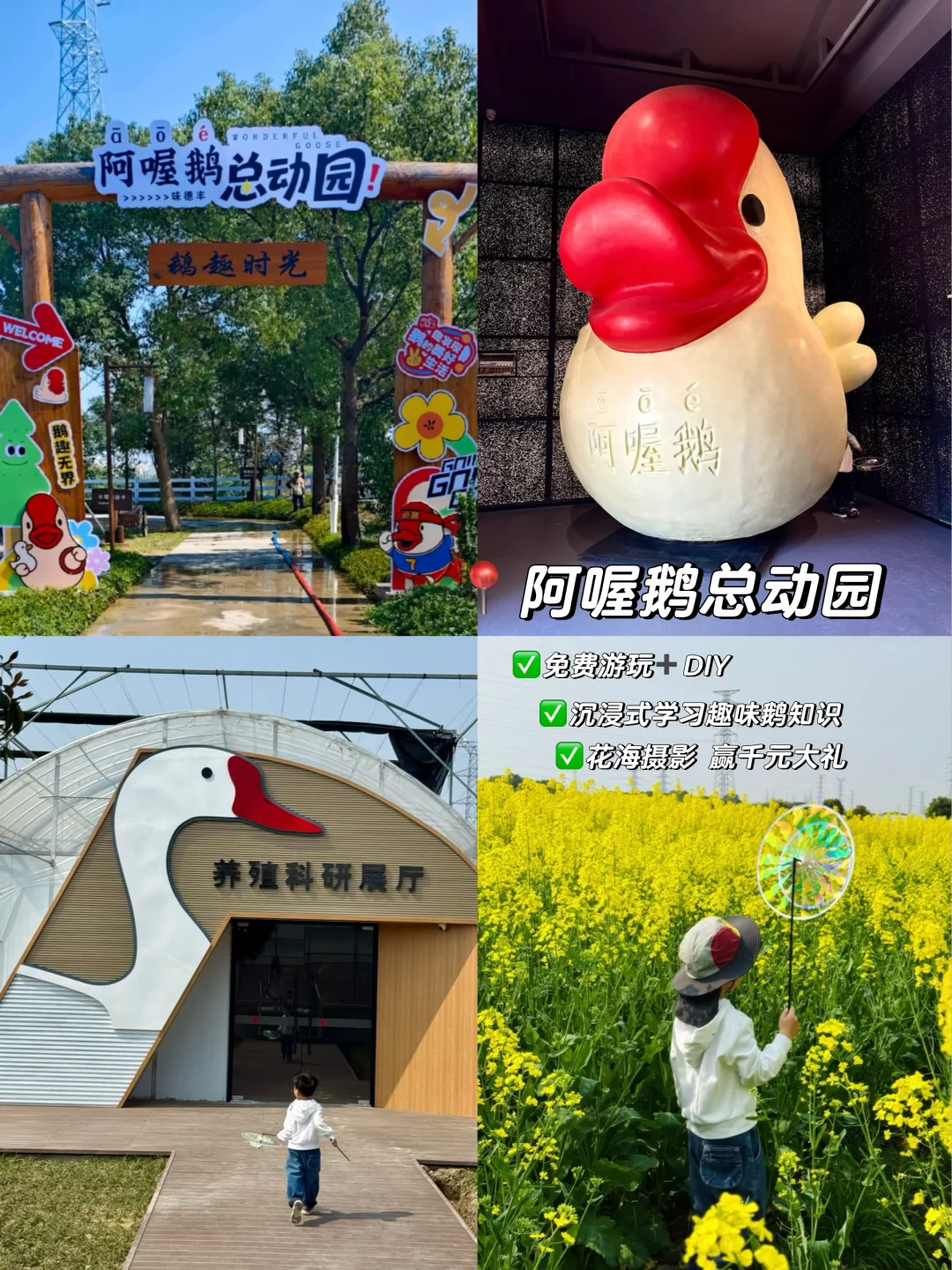 嘉兴遛娃宝地🪿免费赏花+DIY清明假期闭眼冲
