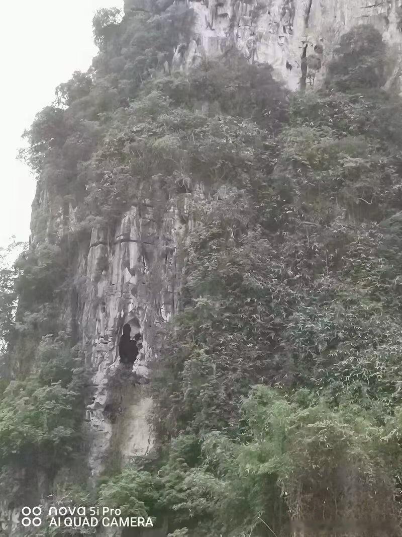 《崖壁观音，垂慈送子》  （拍摄于广西崇左市龙乡县莲花山隧道口）石窟庵...
