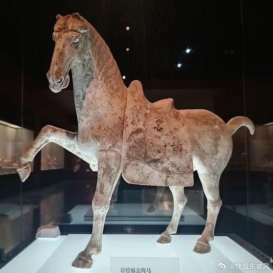 《洛阳博物馆将暂停对外开放，周期预计一年》闭馆虽暂别，相逢仍有期。改造完成后，洛阳博物馆将以更完善的场馆环境、更优质的参观体验，邀您共赴更有温度的博物馆之约。…… ​