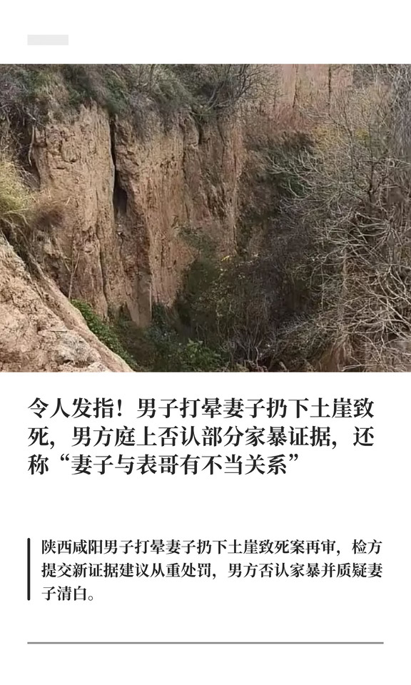 咸阳男子打晕妻子扔下土崖致死案最新进展