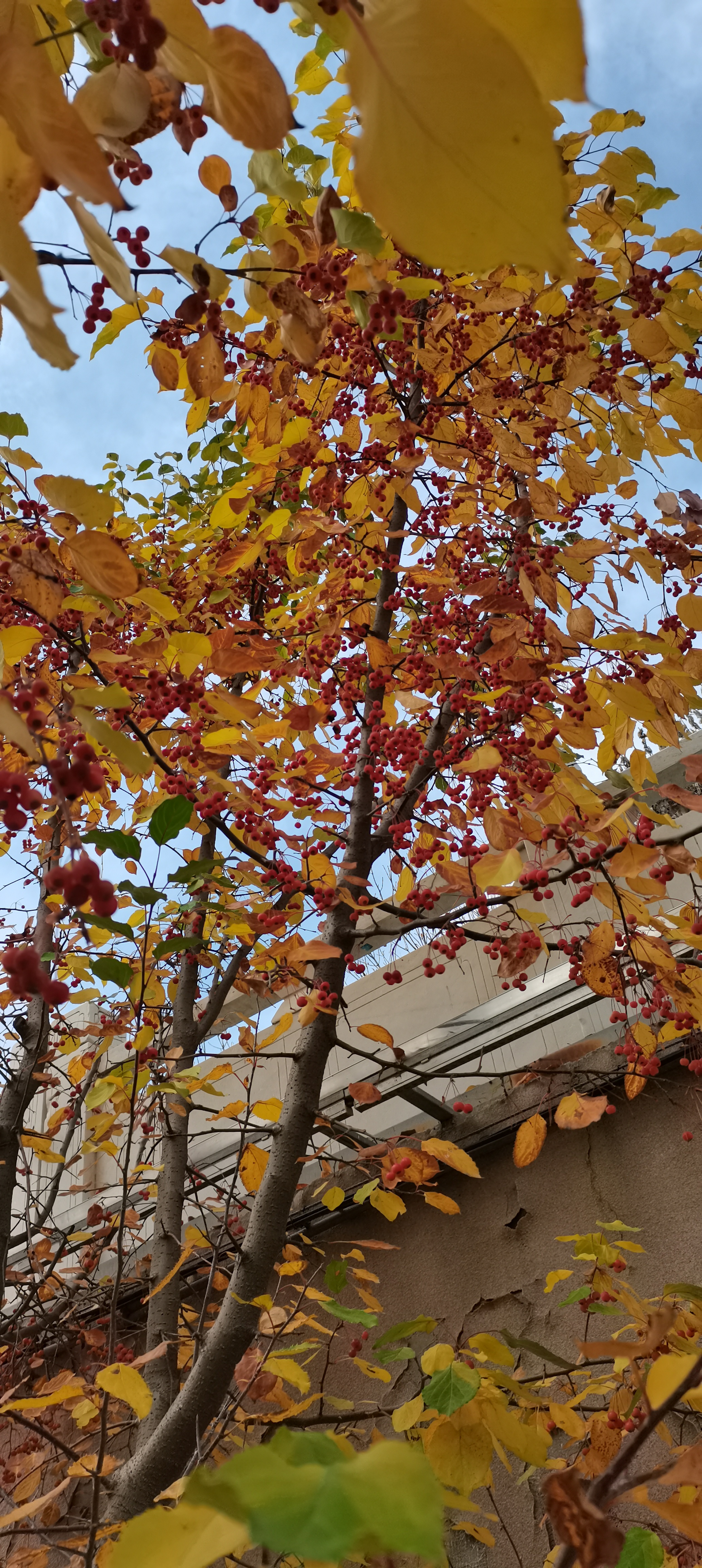 择偶的标准是怎样的?