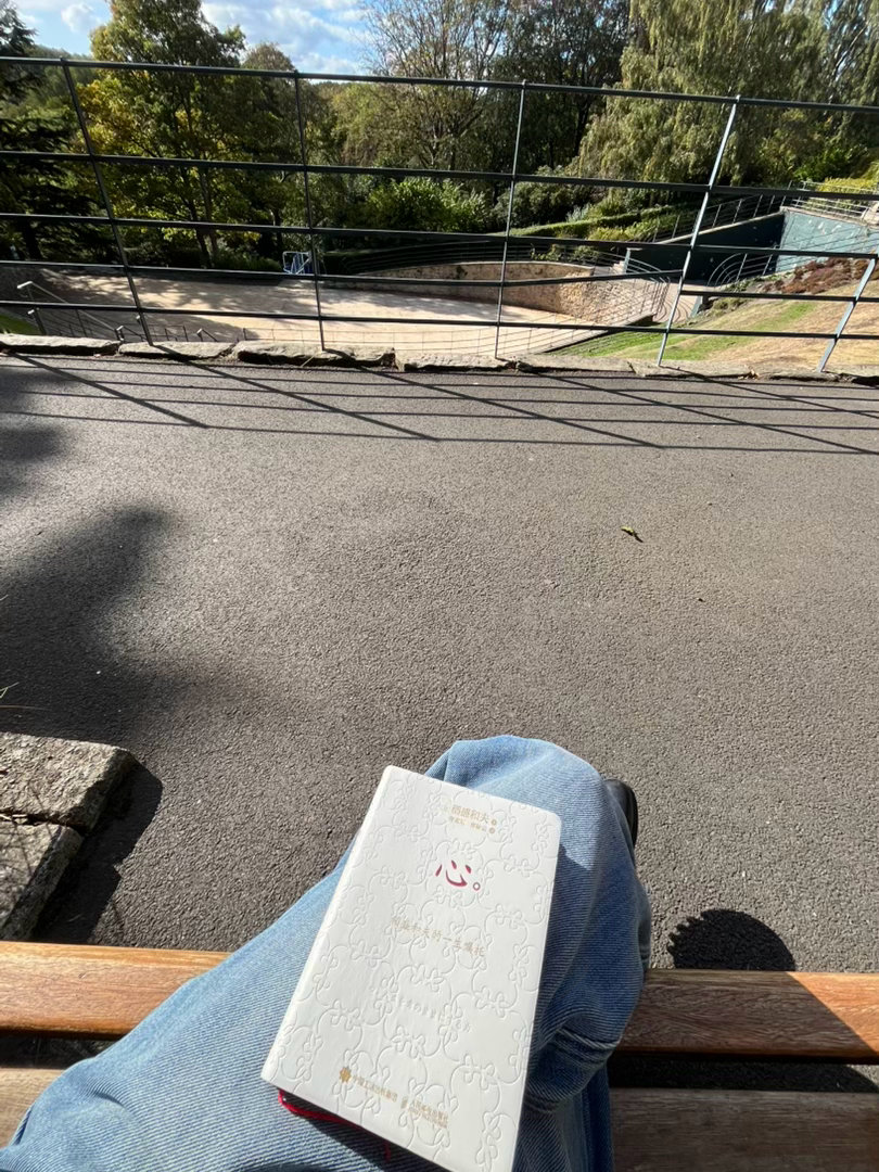 顺利抵达杜伦，坐在一个公园晒太阳，难得心情很平静，这几个月的焦虑也稍微好了一些。 ​