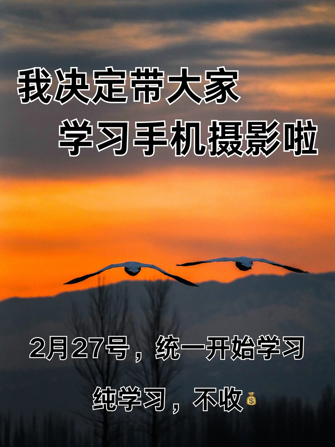 我决定带大家学习手机摄影啦！！