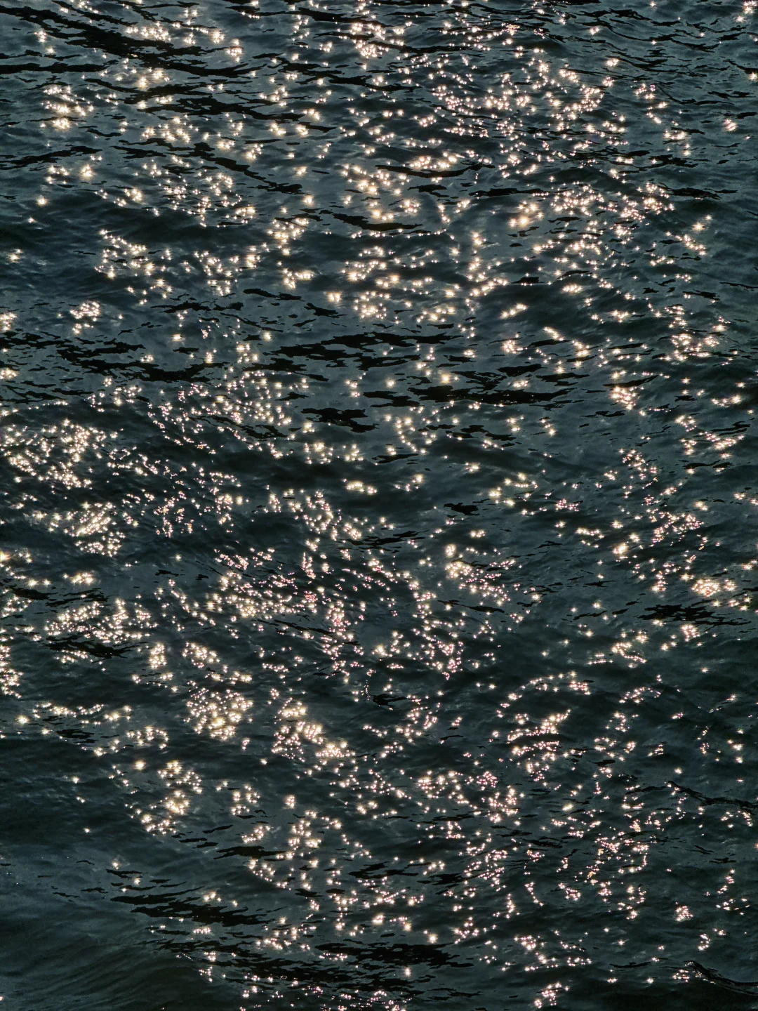 交换一张你相册里波光粼粼的水面✨