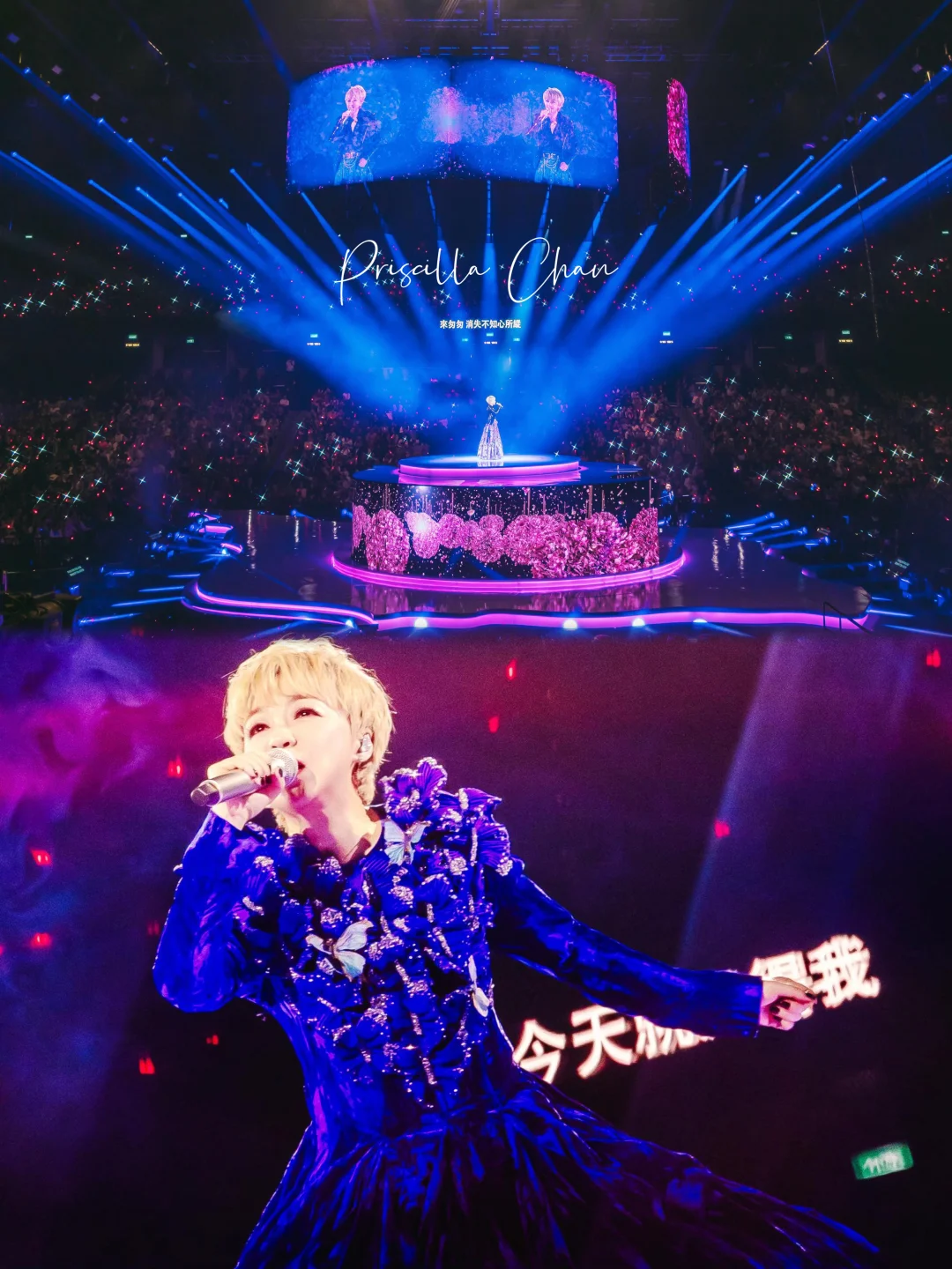 陈慧娴40周年巡回演唱会上海站加场啦🎉