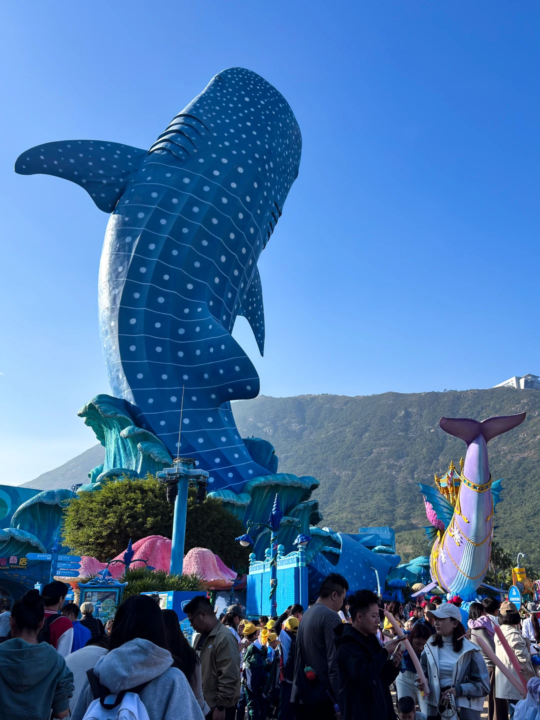 避雷～珠海长隆最大的坑