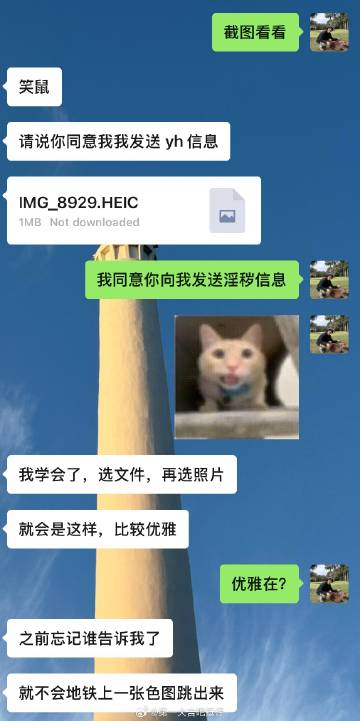 有谁懂这两句话的搞笑程度吗