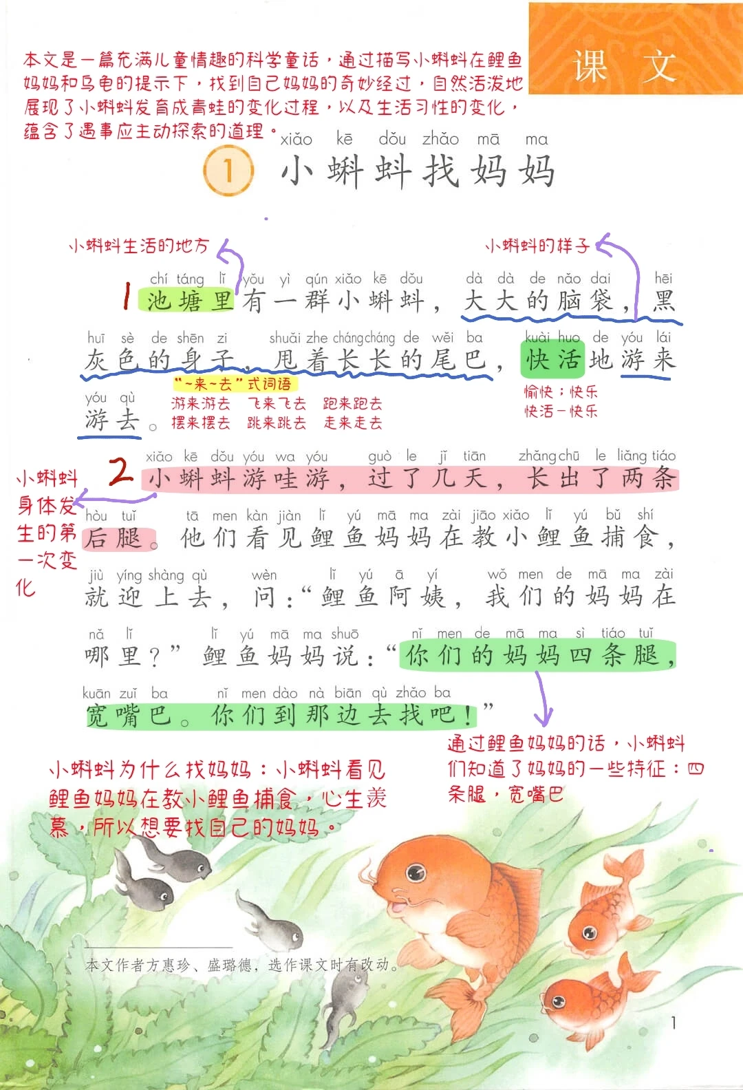 【二年级上册】第1⃣课《小蝌蚪找妈妈》