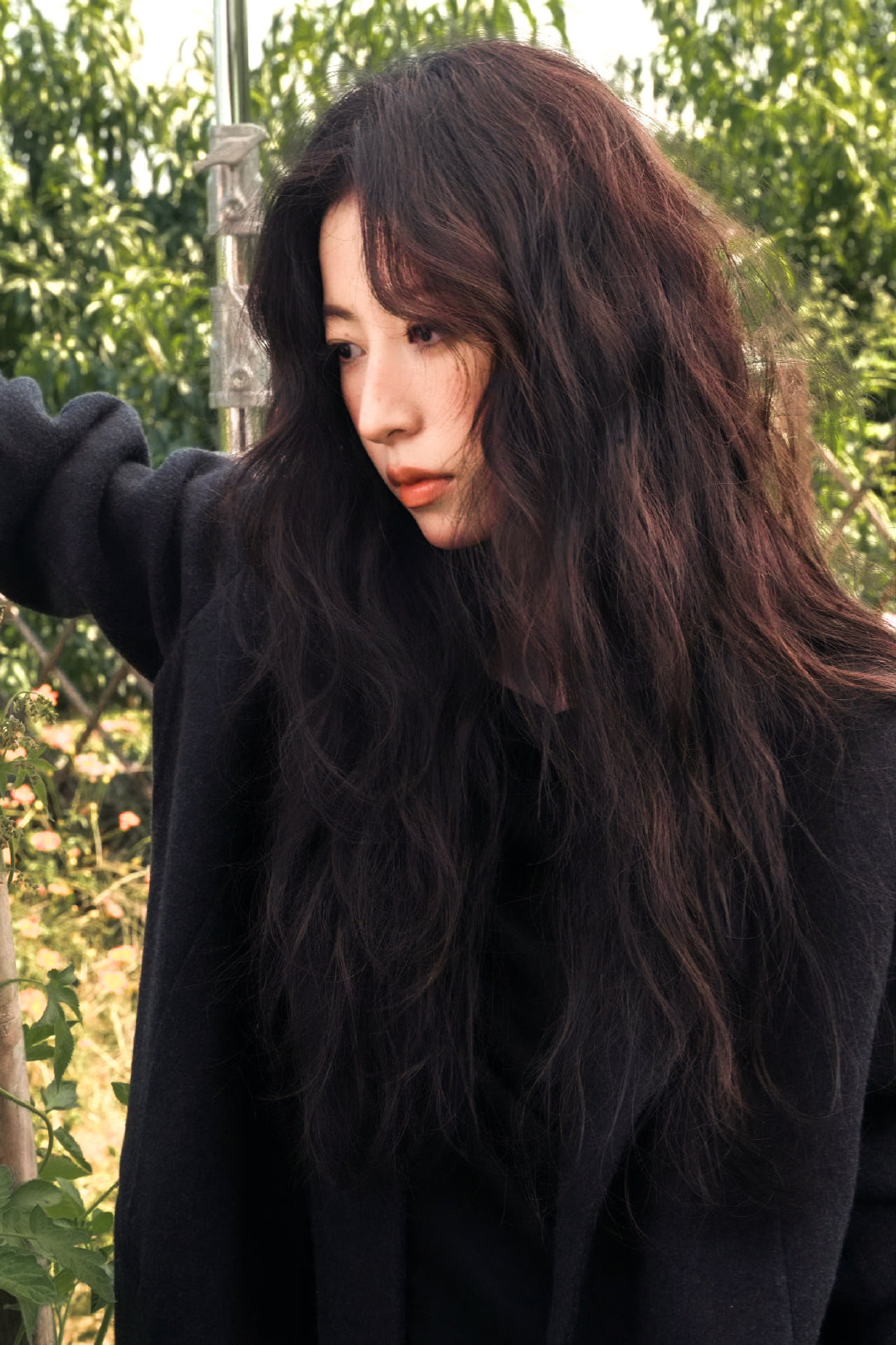 秋意浓🍂
#周雨彤[超话]# ​