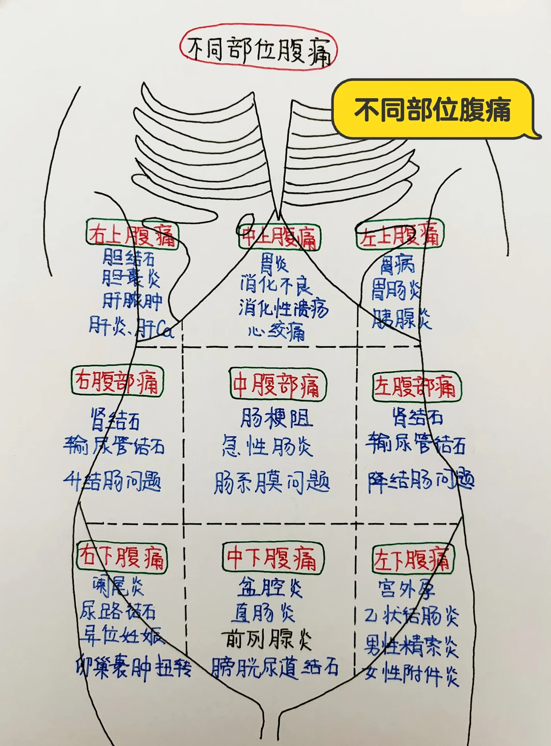 今日学习打卡——不同部位腹痛