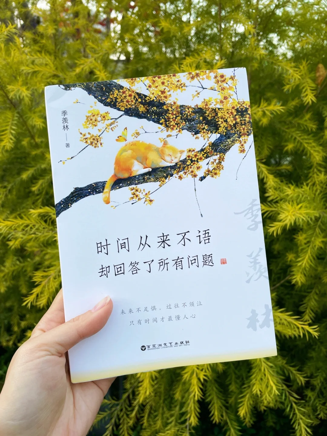 看完整个人都通透了❗️季羡林一生的创作精华