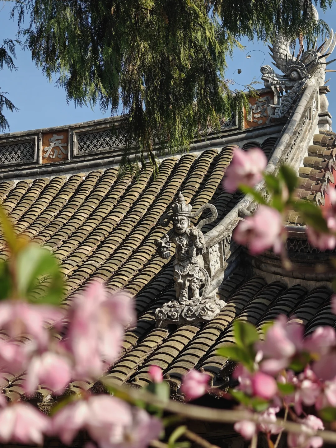 天台山智者塔院 | 曲径通幽处，禅房花木深