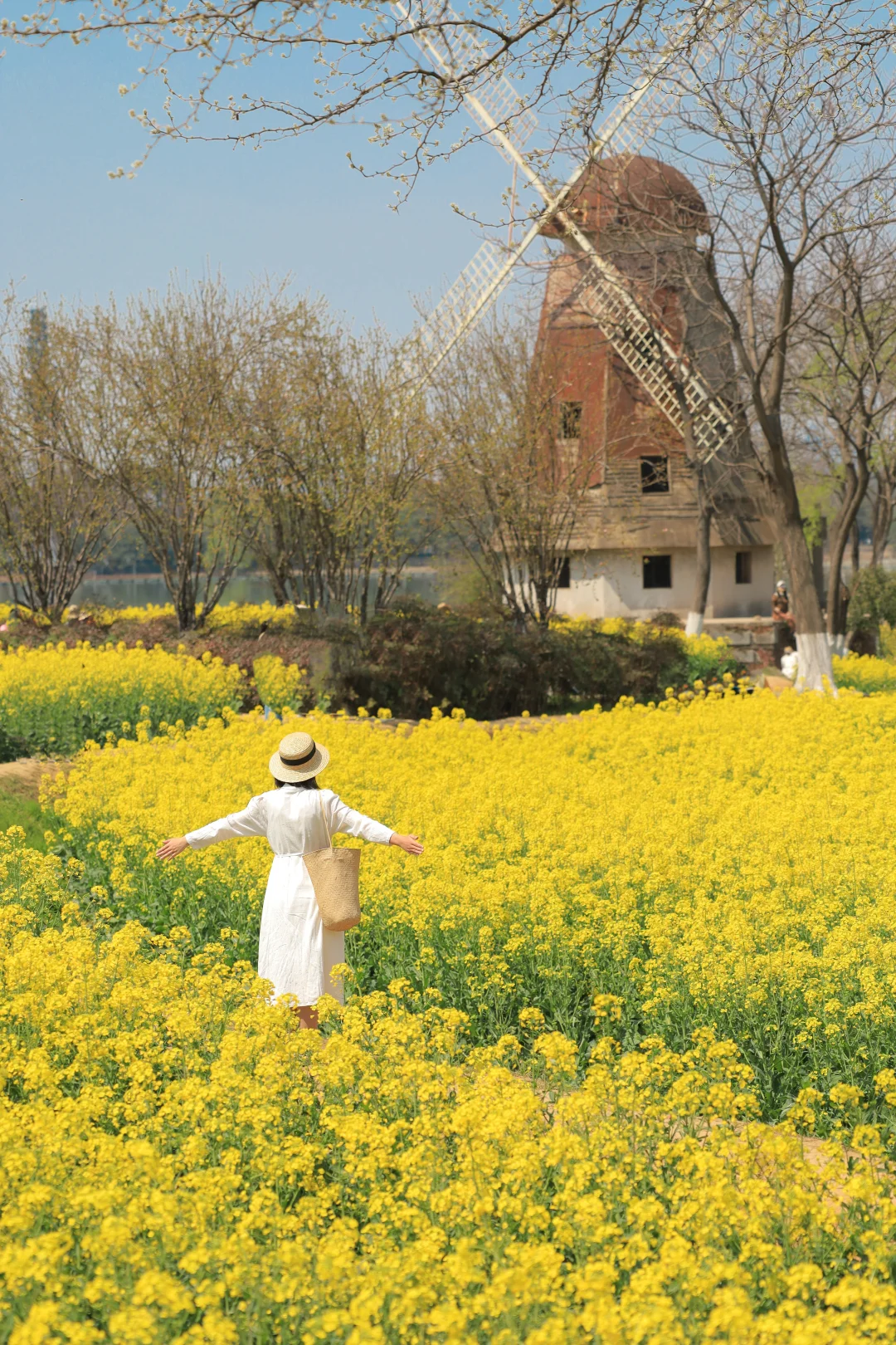 不是大理❗️武汉童话油菜花海即将封神❗️