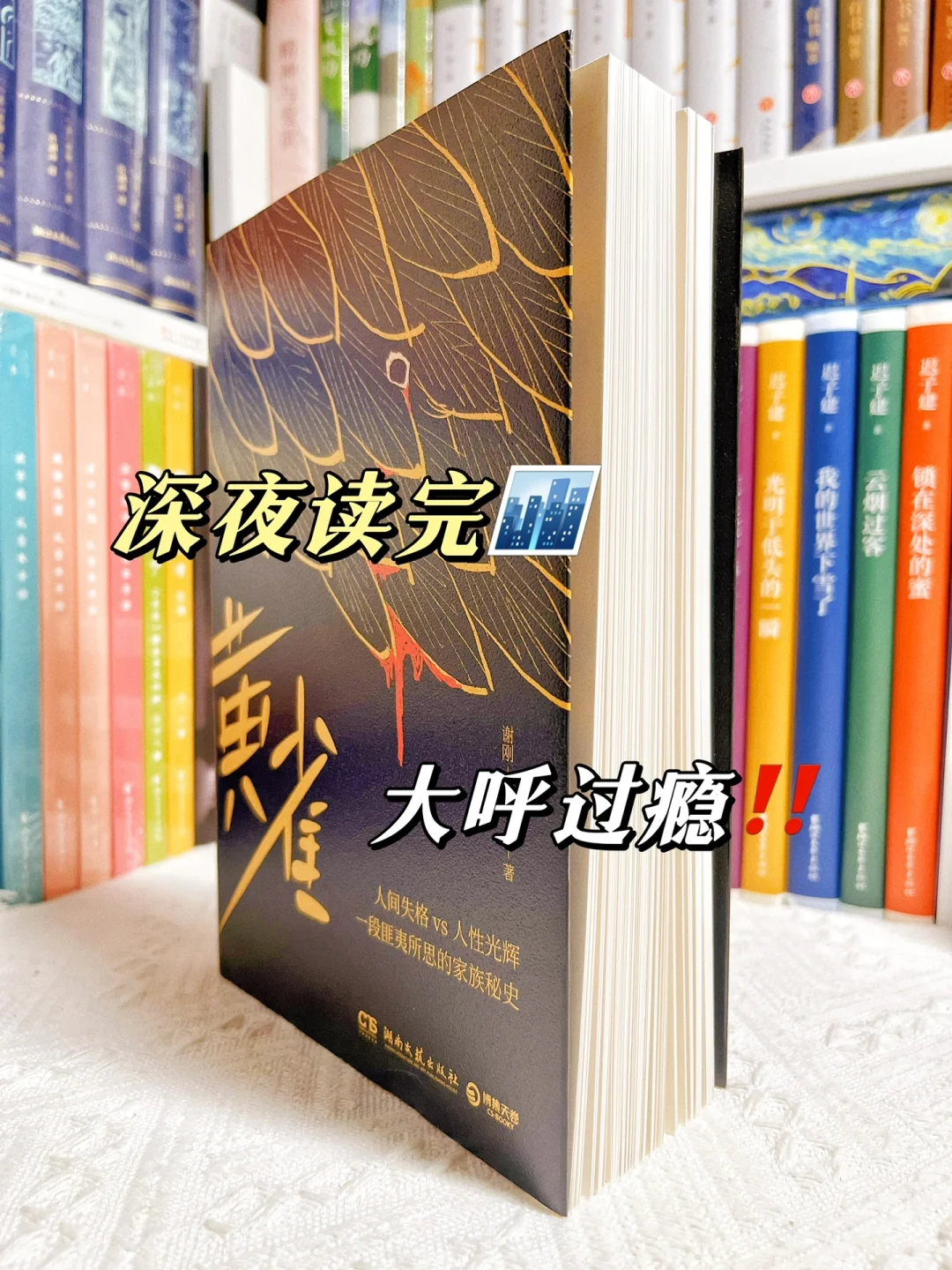 太上头了‼️这本书一抱起来就根本放不下啊😂