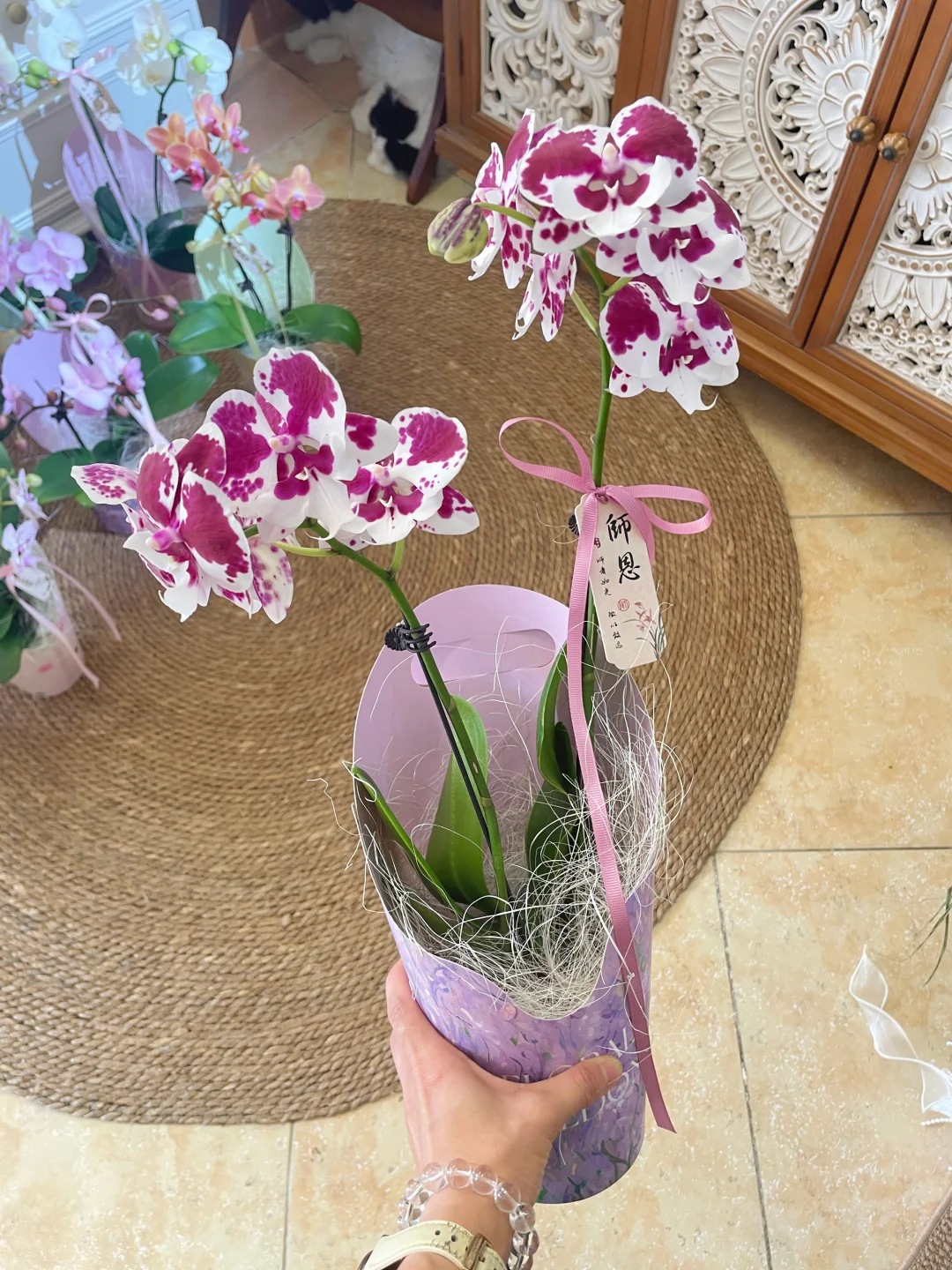 ·/每一款不重样， 实物比照片更美～🌸
