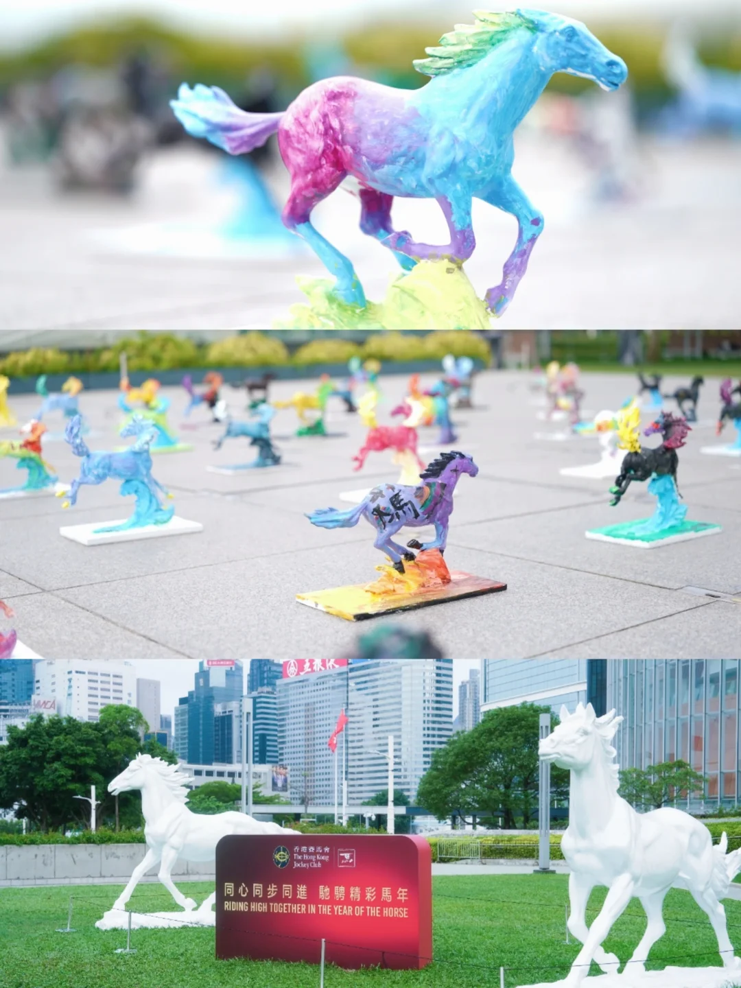 👏香港添马公园巨型骏马展太震撼‼️