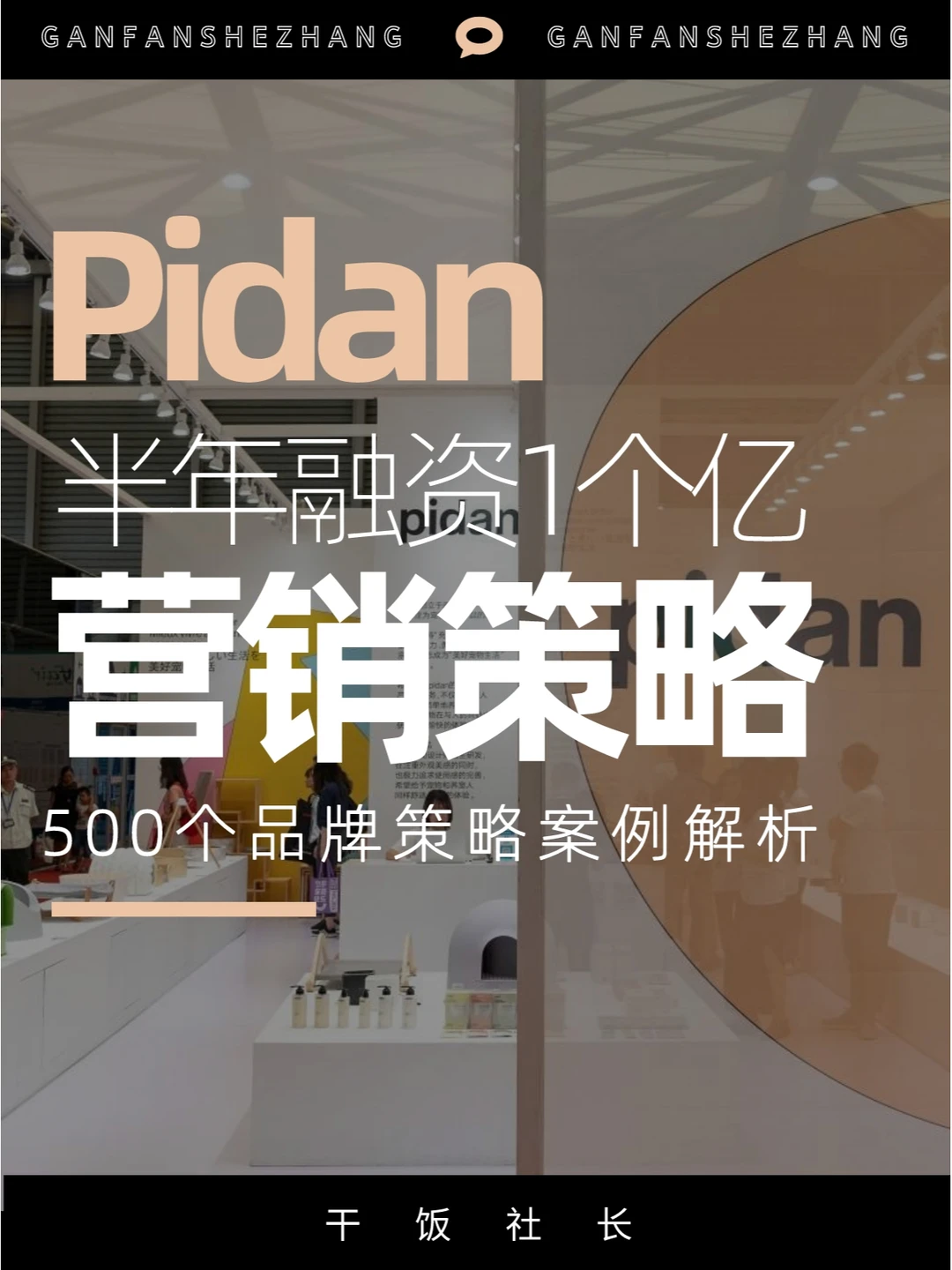用平静之美半年融资1个亿的宠物美学家品牌