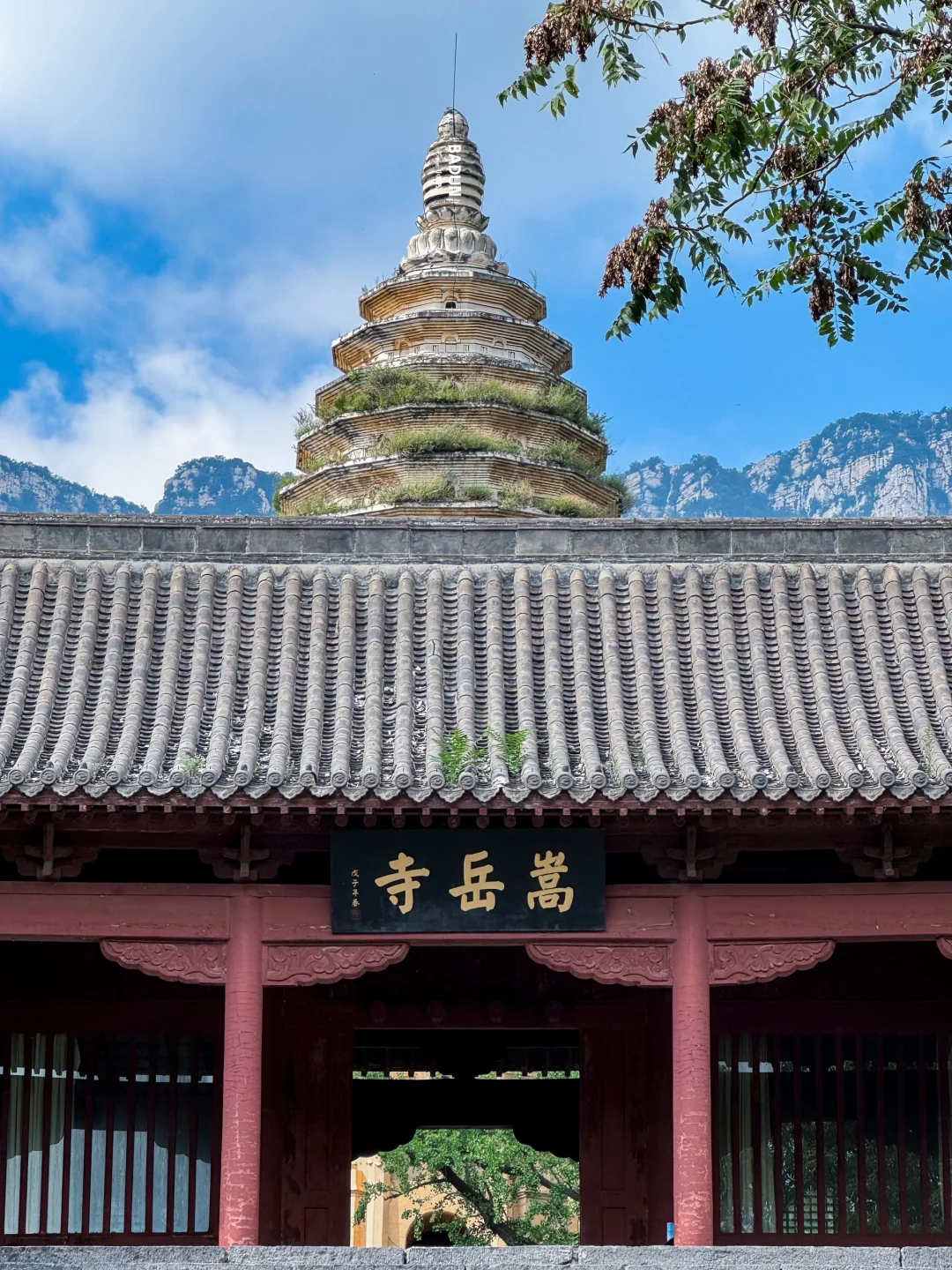 梁思成打call的郑州塔王