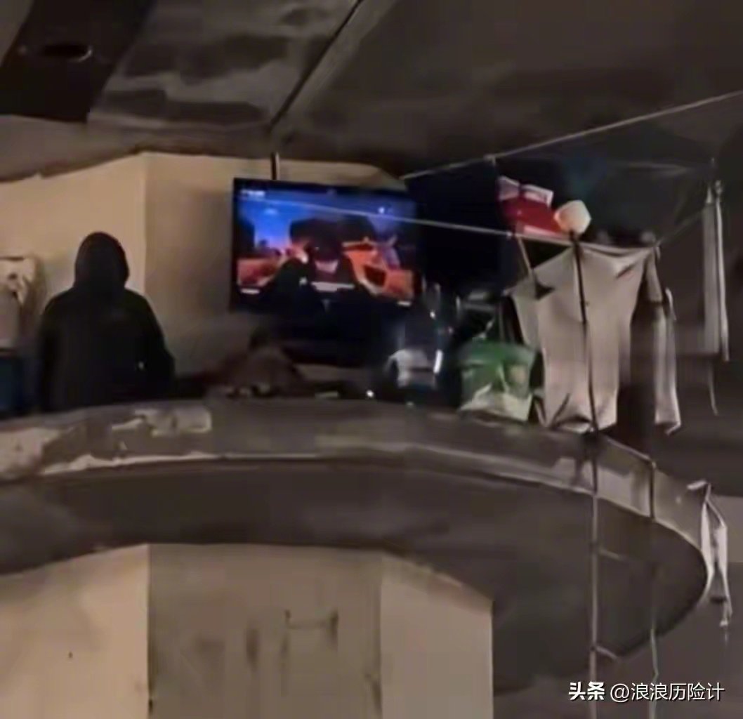 美国流浪汉里的牛来，作为美国流浪汉，他不但支棱起来了，而且直接支棱到桥墩上去了，这你受得了吗，并且桥墩上还有电视看。 ​