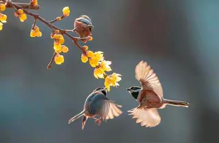 五十年婚姻观变迁，你属哪一代？