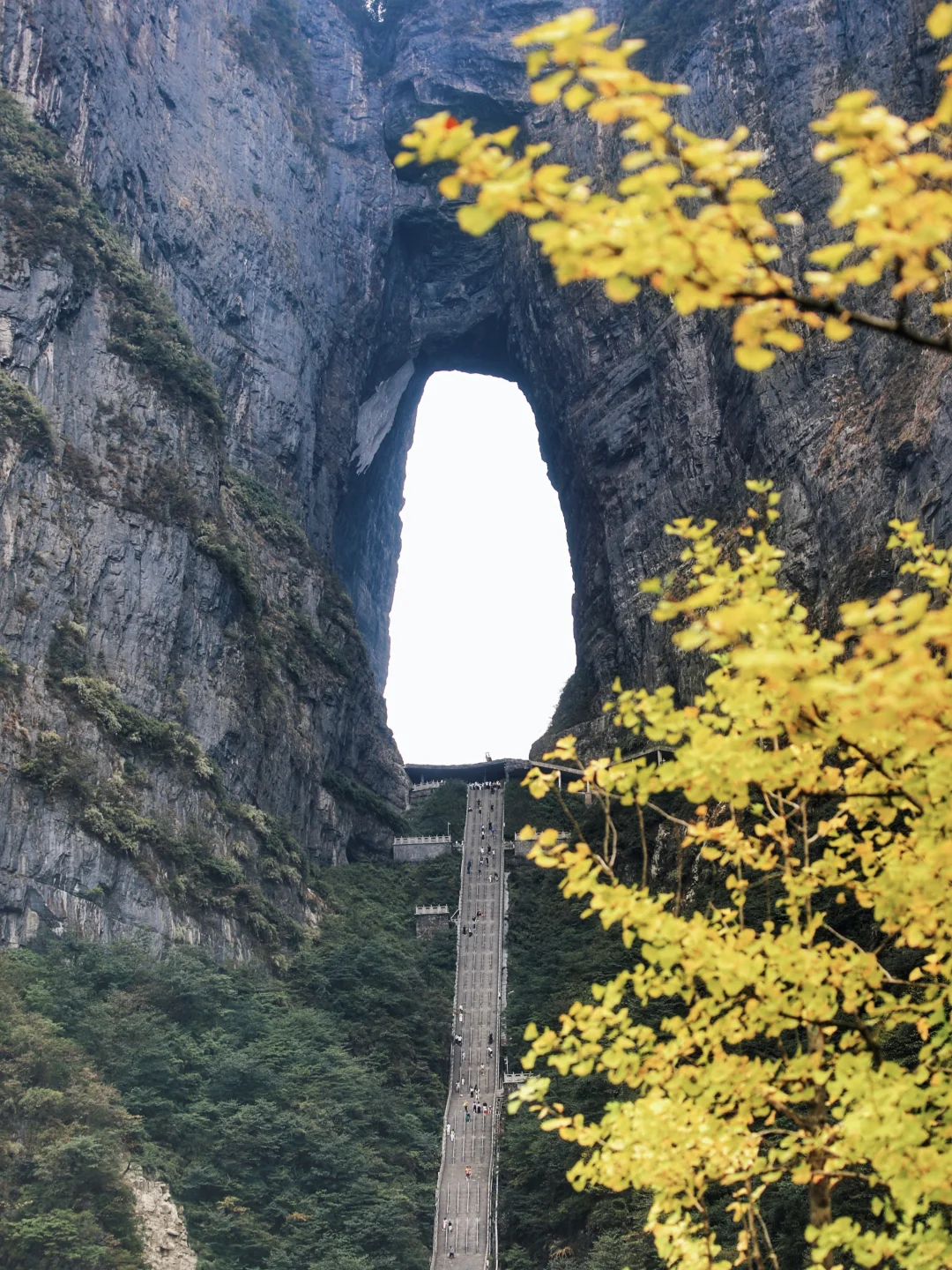 🍂张家界3日游｜附游玩拍照攻略