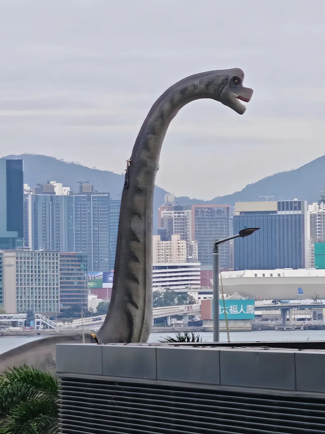 真不是AI！🇭🇰会展中心外惊现巨型恐龙🦕