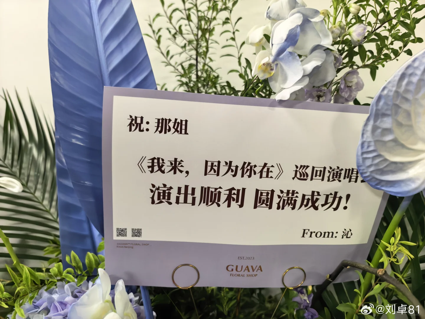 梦幻联动了哈哈🥰