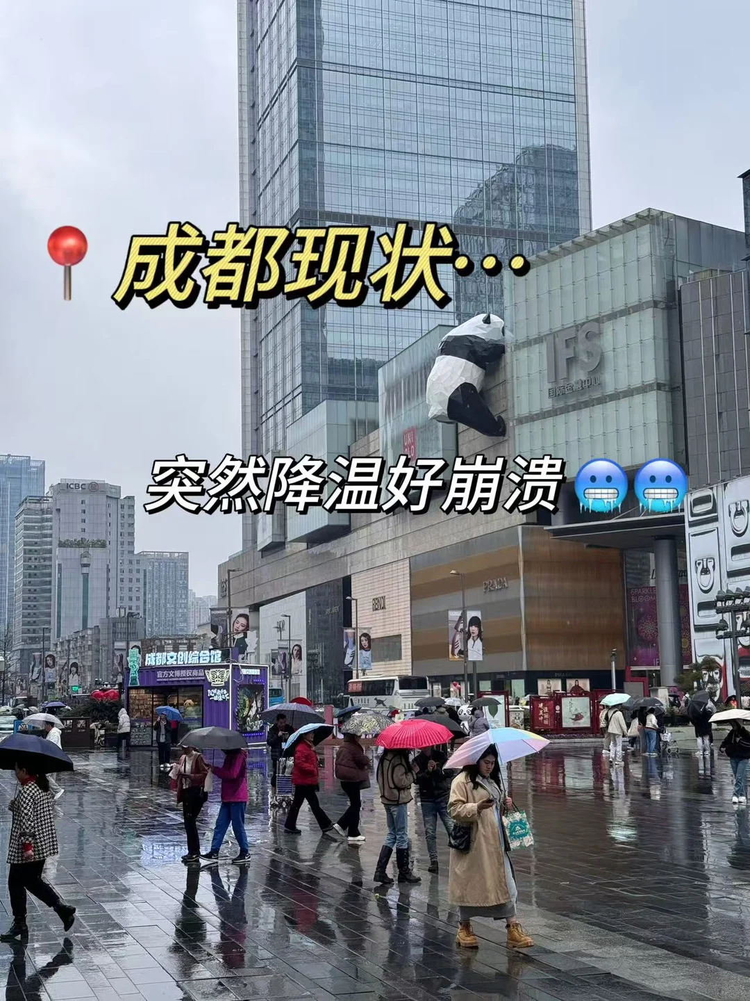 劝退了！不看天气别来成都啊😭