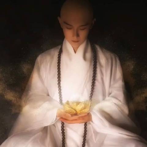 看相九狸先生