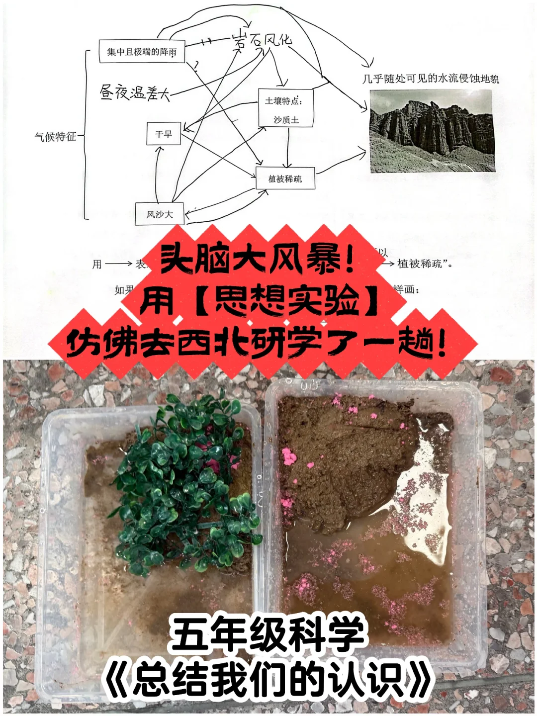 还是新脑子好使！又被学生“卷”到了！