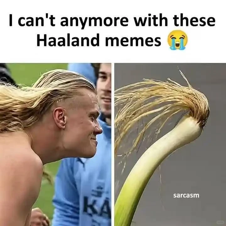 我真的不行了😂