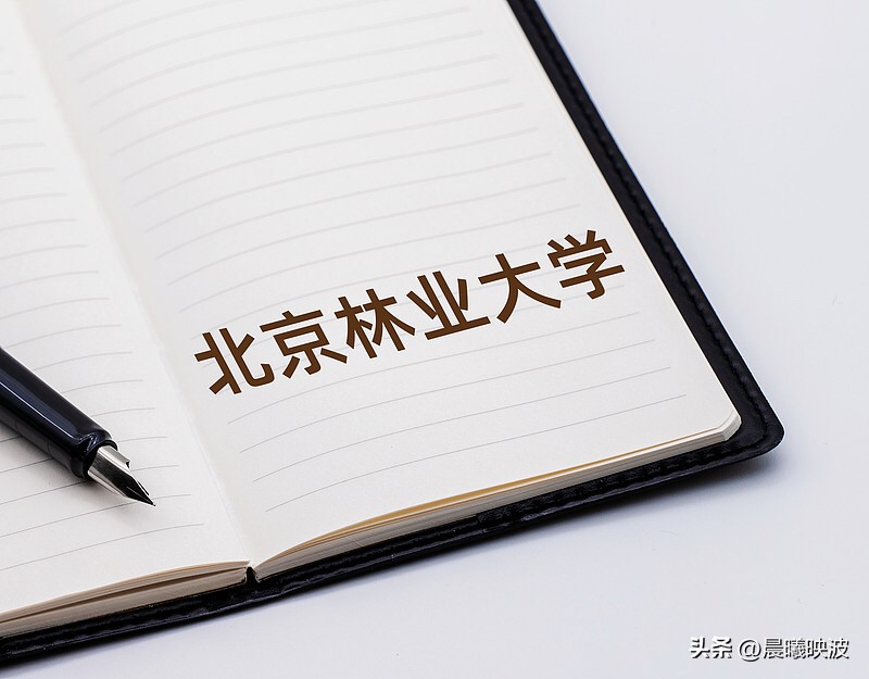 高校“紧日子”新规刷屏！烟酒扑克牌统统不报销，这次动真格了

  高校也过“紧日子”了，而且不是喊口号。

  北京林业大学刚出的文件，细到什么程度？坐飞机优先买低价票，能坐经济舱就不许买超级经济舱；办会不摆花草、不上水果、不发纪念品；加班餐“非必须不用餐”，同城公务不安排接待。

  安徽建筑大学