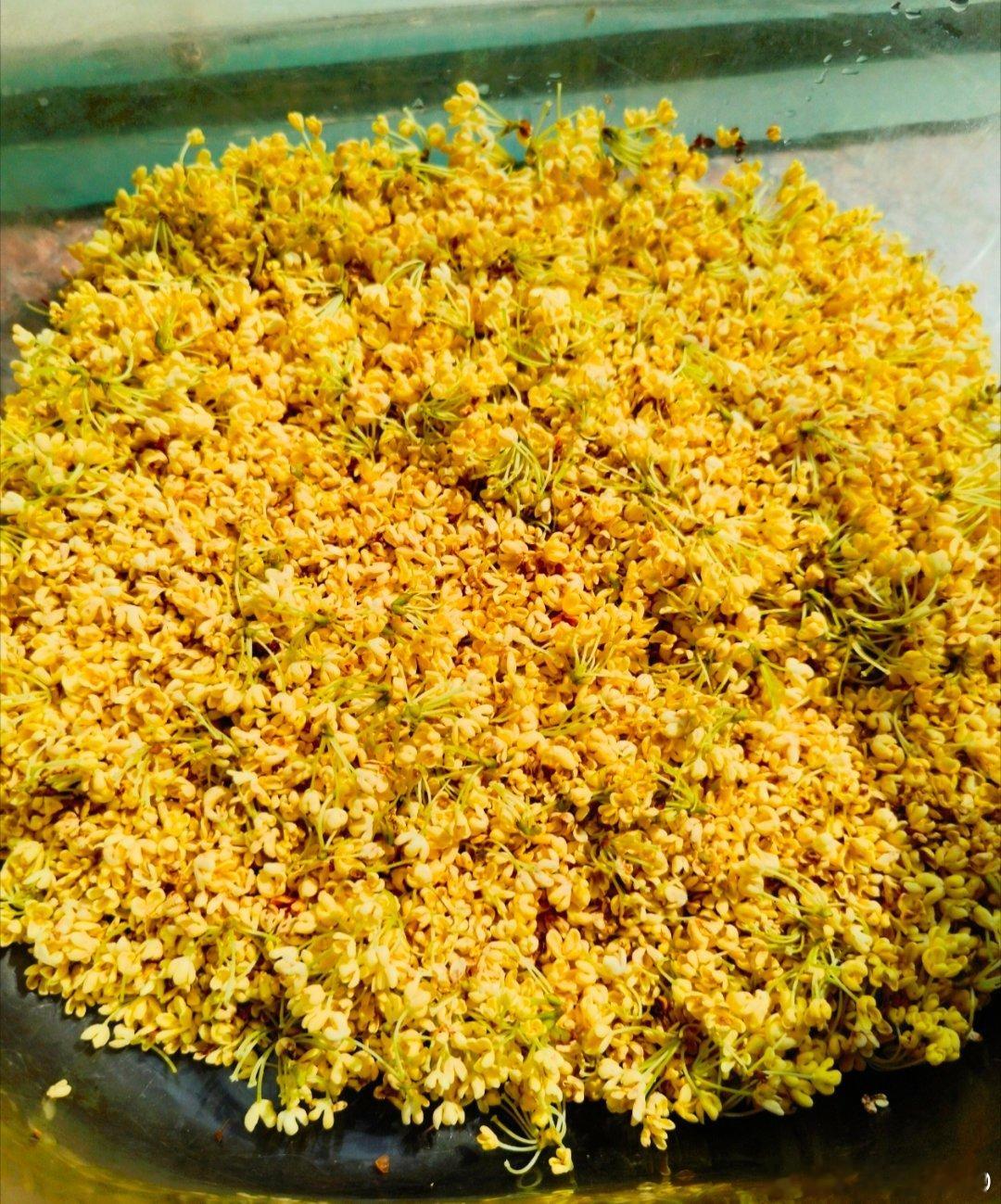 #硫磺桂花# 暗访曝光阳朔硫磺桂花乱象，违规加工，会危害[捂嘴哭][捂嘴哭][捂嘴哭]食用者健康。 ​