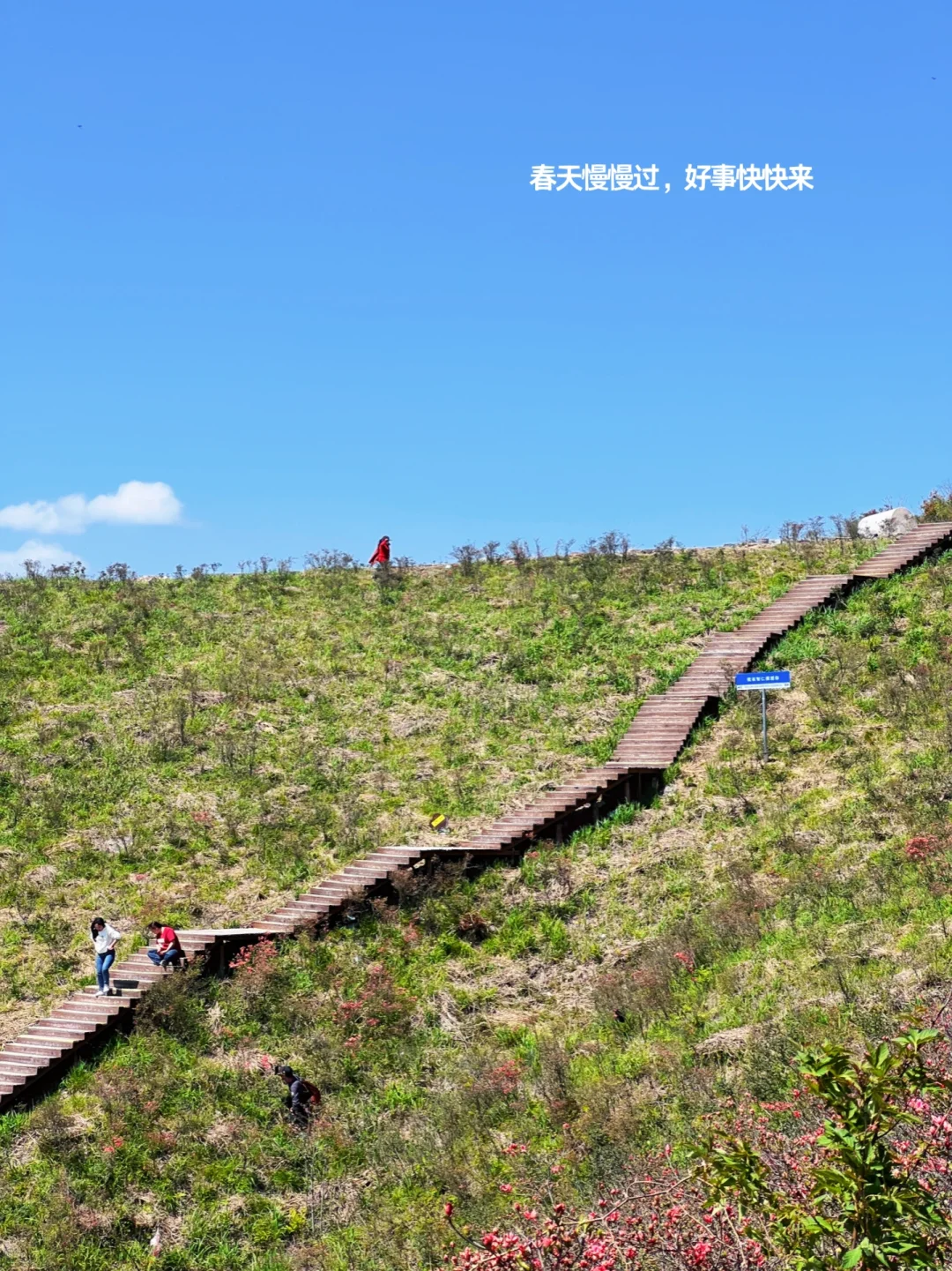 乐清智仁｜不出市吃笋挖锁徒步登高一日游