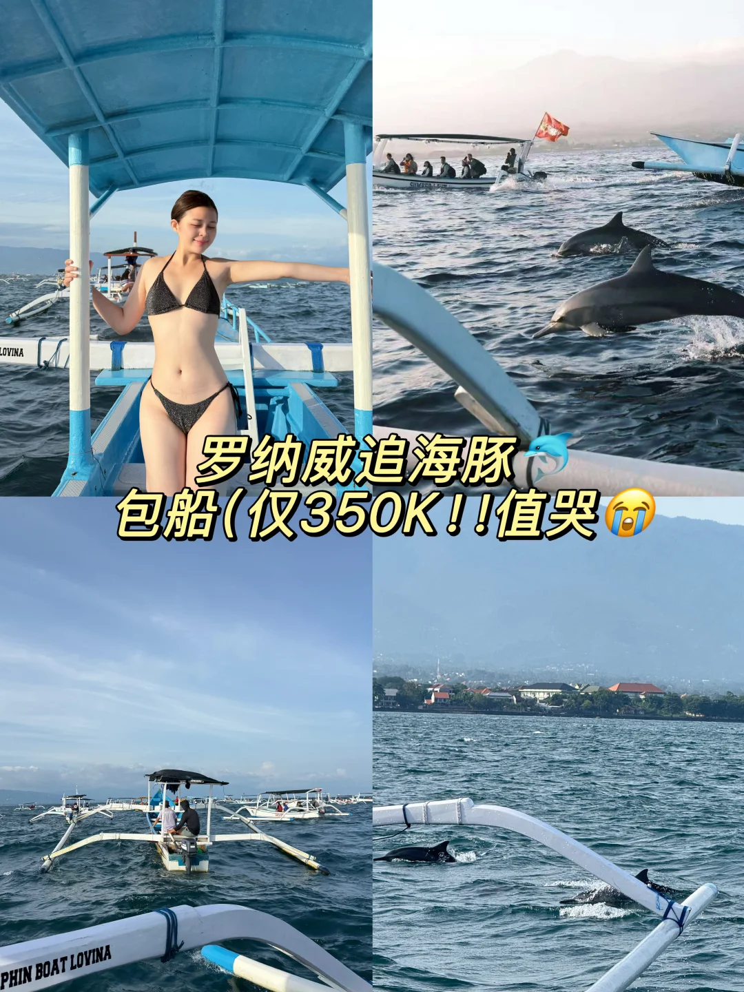 𝑳𝒐𝒗𝒊𝒏𝒂 🐬🫧追海豚！包船才350K😭😭