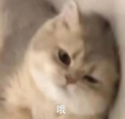 不好用的表情包我不发