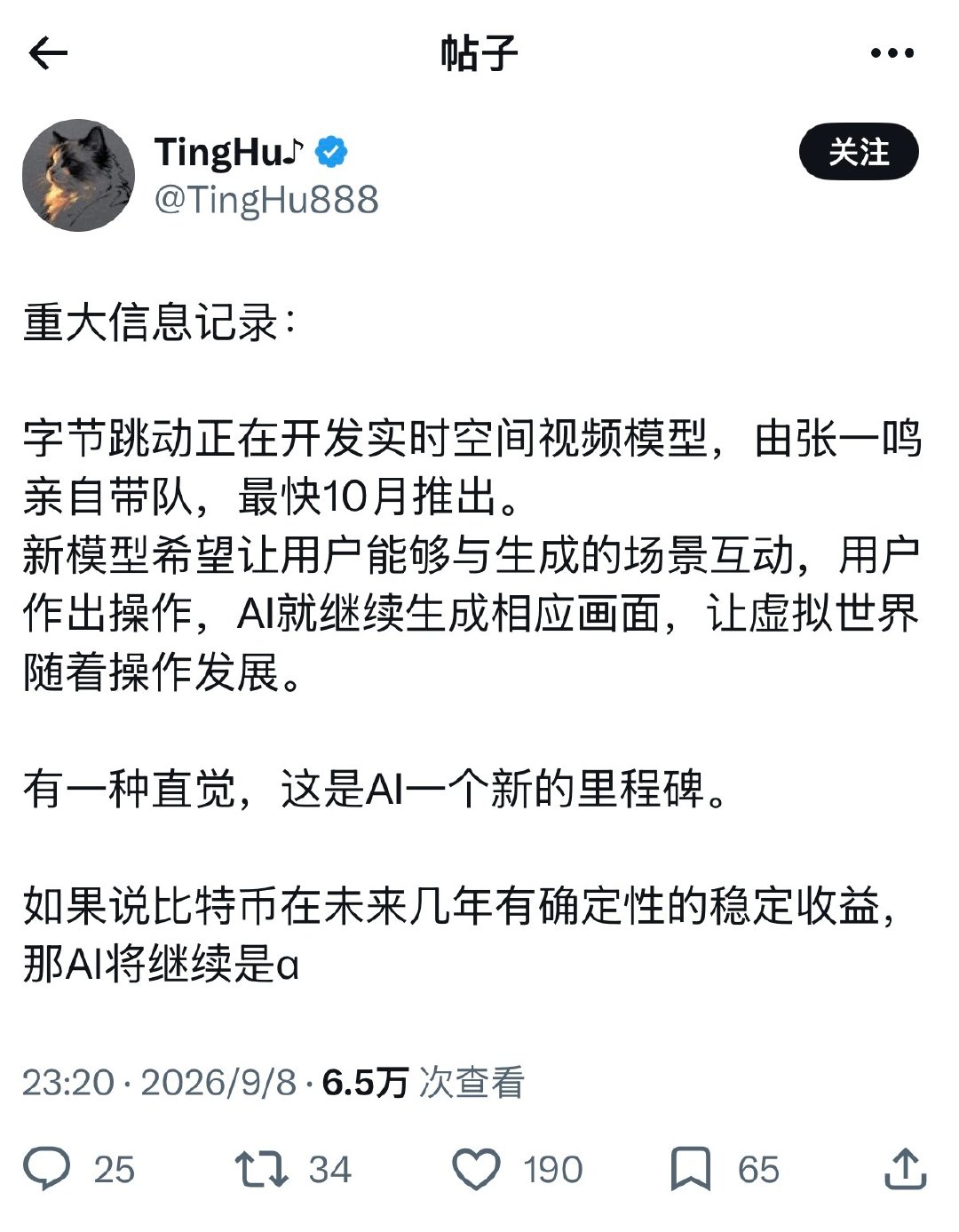 字节跳动正在开发实时空间视频模型 ​