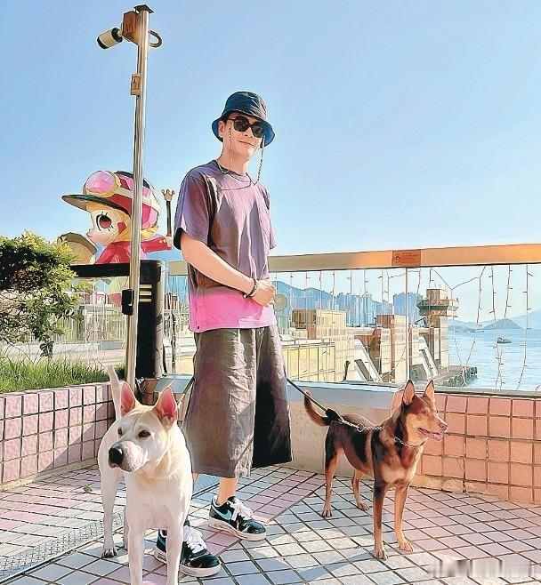 【娛樂新聞】元朗巨犬咬死兩狗掀全城關注 陳庭欣愛犬曾被咬至皮開肉爛 莊...