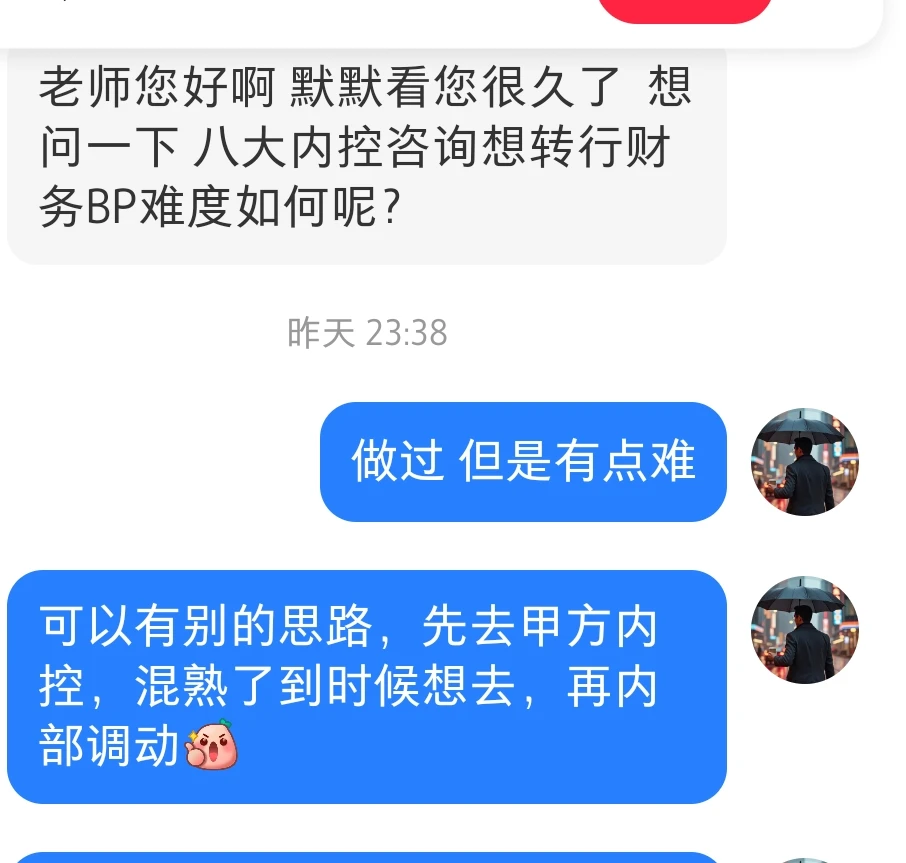 除了预算，其实内控和bp的工作有蛮多重合的