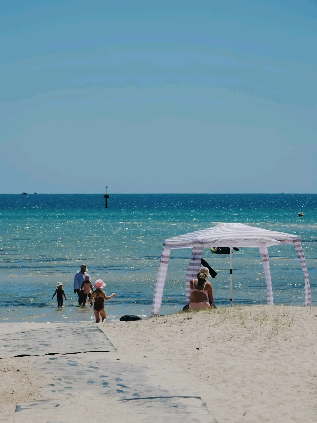 莫宁顿半岛一日游✨遇到电影里的场景 live