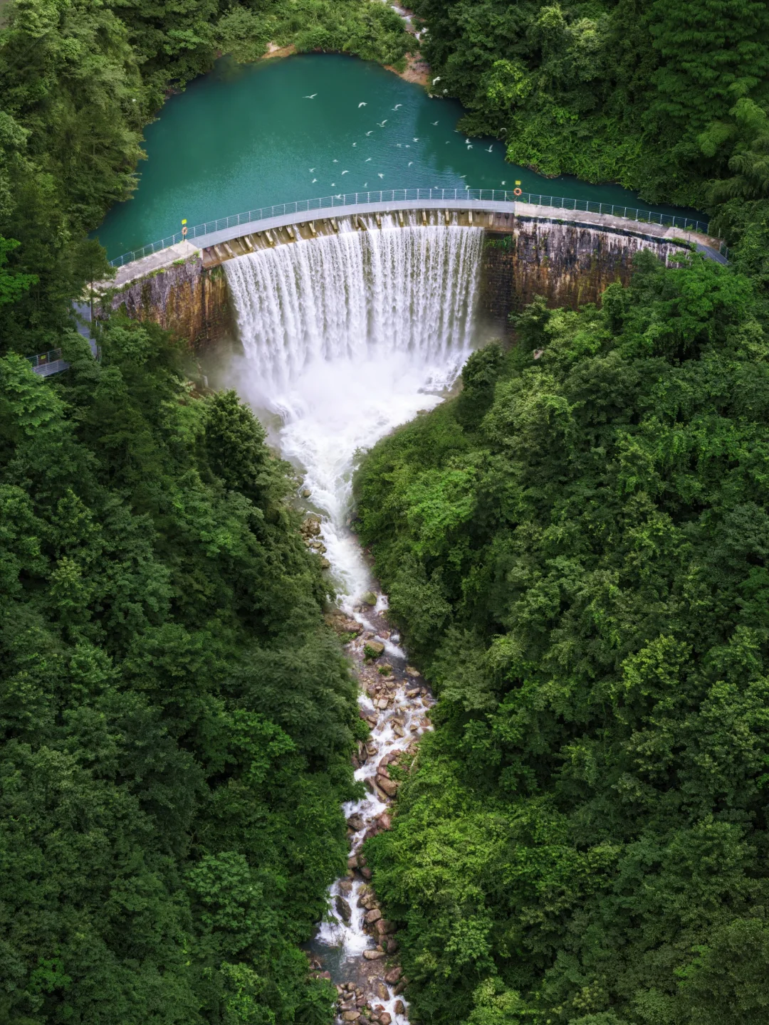 江浙沪夏日续命！杭州这座山太凉快了🥶