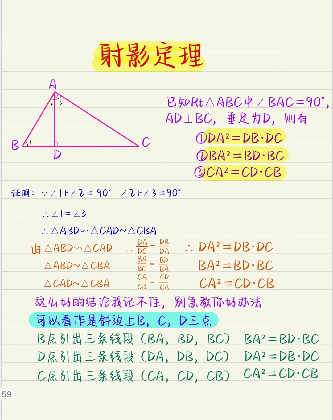 中考数学：牛顿都说好用的几个重要定理