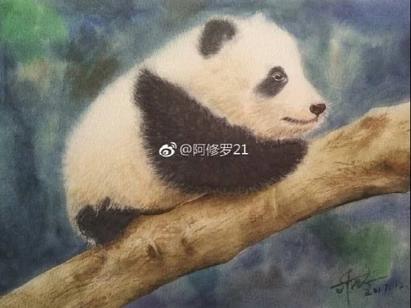 水彩，在爬树的小滚滚。