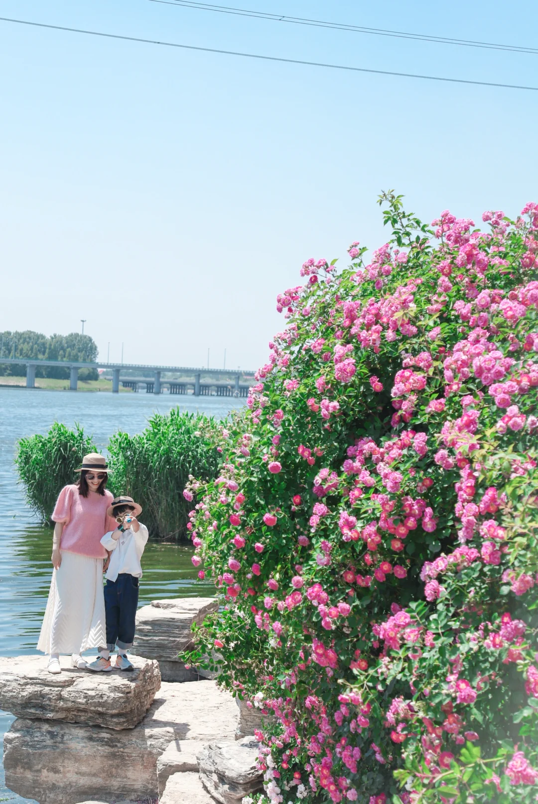 天呐❗怎么没早点发现青岛这个宝藏公园