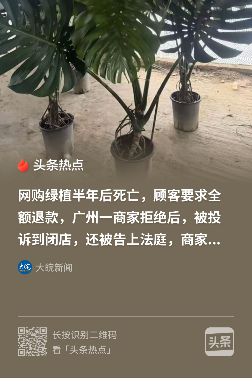 不惯你臭毛病‘奉陪到底！广州，一女子经营绿植网店，半年前顾客花258元买了一颗龟