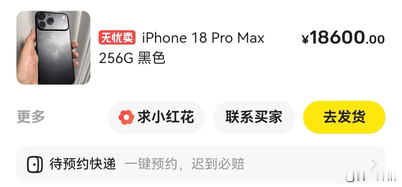 亏损2400元，我把首发购买的一台苹果18Pro，一台苹果18Pro Max通过海鲜市场卖掉了！准备迎接iPhone Duo~