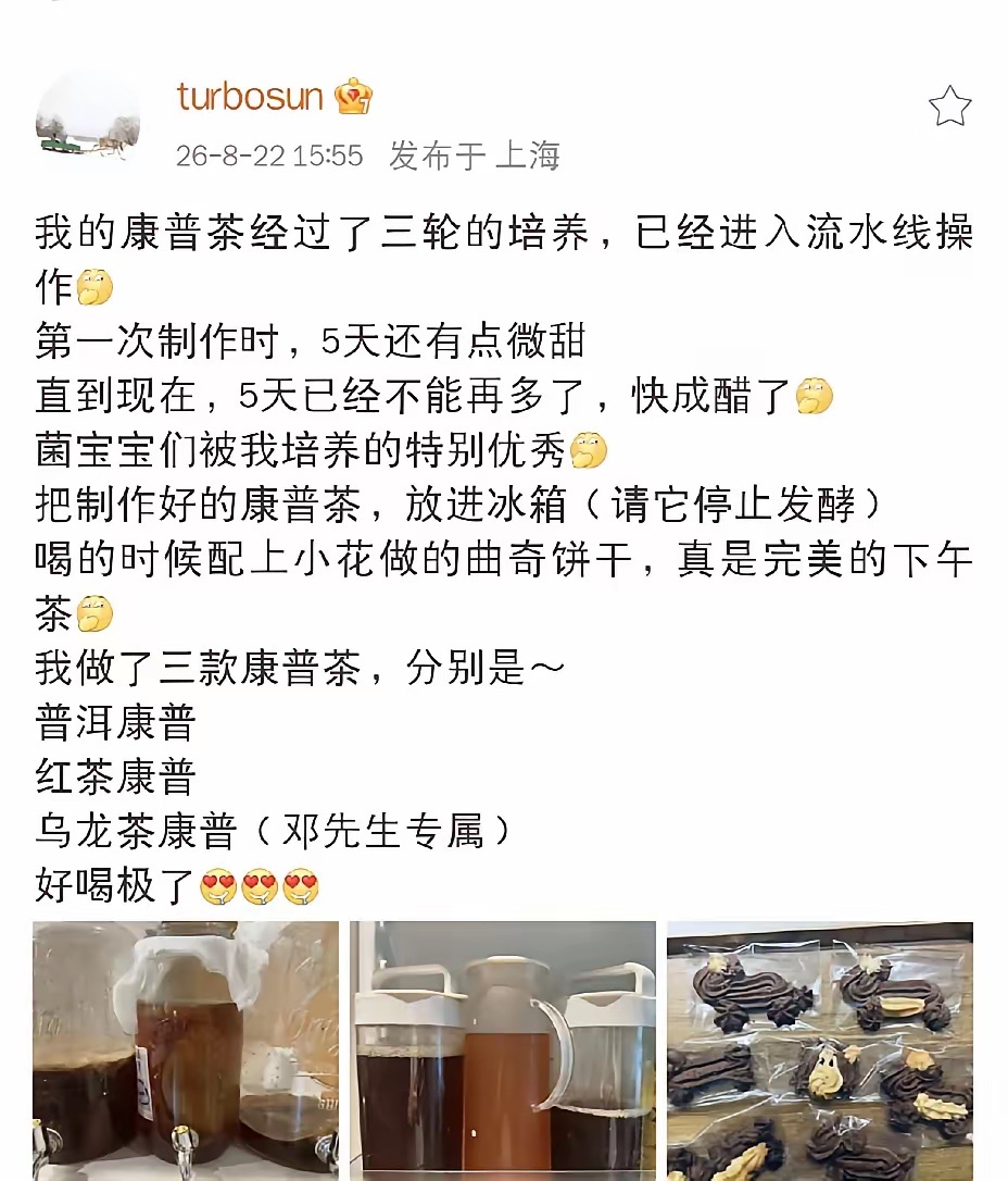 孙俪，太能干了[捂脸]
​​8月22日，孙俪发了个动态，看完后，不禁敬佩孙俪太能干了，感觉没有什么事情是孙俪做不到的。
​​这次孙俪晒出自己亲手酿造的康普茶，经过三轮培养，已经可以流水线操作，看着一罐子一罐色泽透亮的康普茶，不得不说孙俪太能干了。她一共做了三款口味，普洱、红茶，还有一款 ​