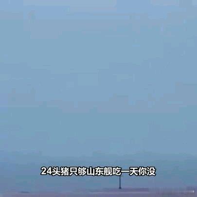 《24头猪，只够山东舰吃一天！》24头猪，只够山东舰吃一天！ ​