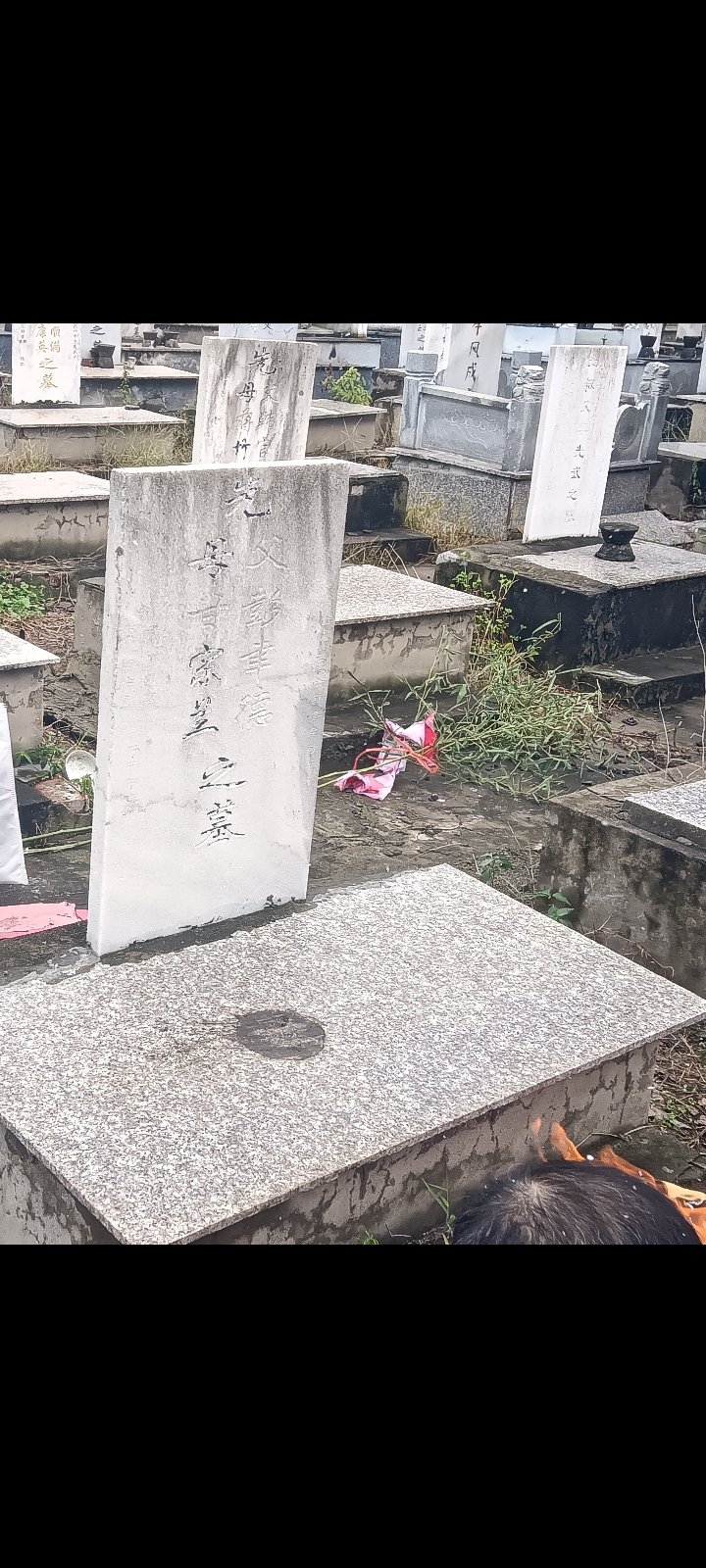 成吉思汗——蒙古人民的伟大儿子——